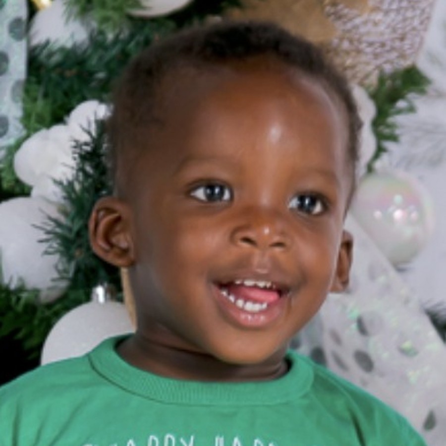 The Great-Grandchildren — portrait 8 from the family brochure